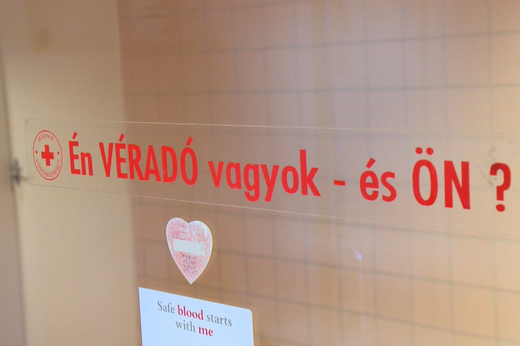 Médiavéradás Győrben: nagy szükség van a segítségre