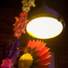 Lapos 2013.01.04. (péntek) (1) (Fotók: K. Balázs)