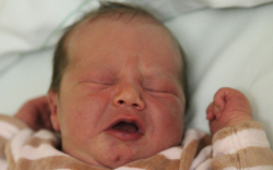 Richter Gedeon Gábor