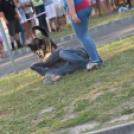 2013.06.23.Vasárnap SzFeszt 4.nap Fotók.árpika