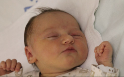 Bachman Zoé Zselyke 