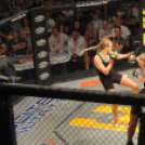 2015.05.09. Profi MMA Gála fotók:árpika