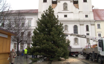 Megérkezett a karácsonyfa a Széchenyi térre