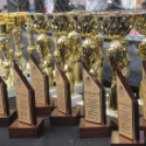 2018.04.28. WHB Amatőr MMA magyar kupa és Bothúzó bajnokság Fotók:árpika