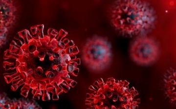 Koronavírus: Látható lesz az elhunytak kora, neme és krónikus alapbetegsége is