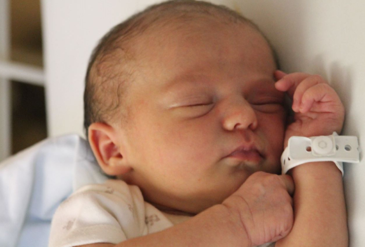 Fazekas Mira Napsugár 