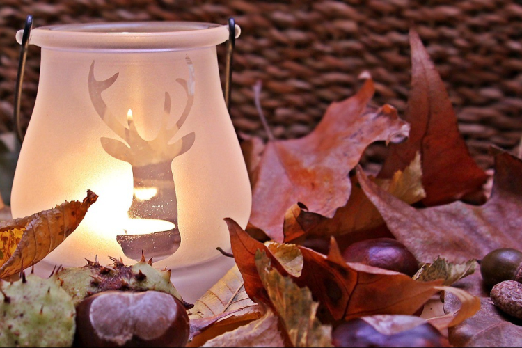 Teljes gőzzel készül a Győr-Szol a Mindenszentekre és Halottak napjára