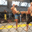 2015.05.09. Profi MMA Gála fotók:árpika