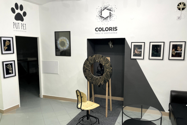 Csak semmi szemfényvesztés!-Az íriszfotózás és extrém kisállat fotózás művészete!