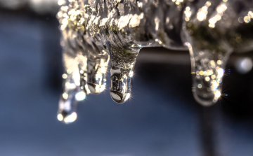 Így előzzük meg a fagykárokat otthon