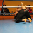 2013.02.16.Szombat Profi MMA És Box Mérkőzés Fotók:árpika