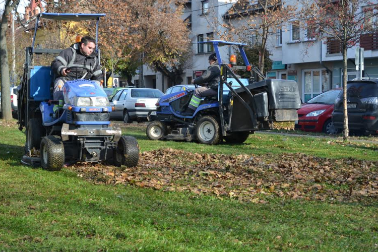 Minden városrészben zajlik a falevélgyűjtés 
