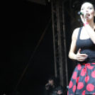 2017.06.17. Győri Nyár megnyitó (2) Live Retro koncert Fotók:árpika 