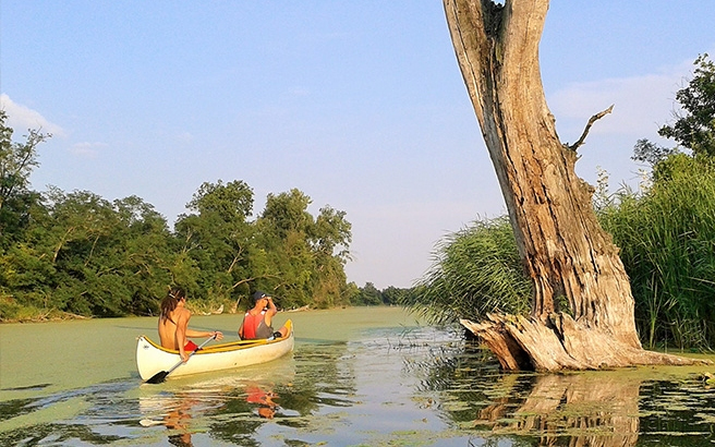 Szituációs begyakorló gyakorlatot tartott Mecséren a megyei katasztrófavédelmi műveleti szolgálat 