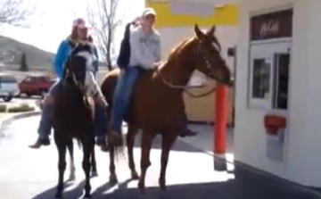 Gyorsétteremben vizelt egy ló