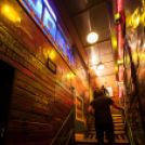 Lapos 2013.01.30. (szerda) (1) (Fotók: K. Balázs)