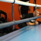 2013.02.16.Szombat Profi MMA És Box Mérkőzés Fotók:árpika