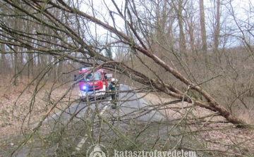 Sokat vonultak a tűzoltók a hétvégén