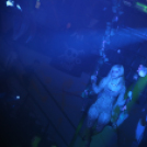 Club Vertigo - Julia Carpenter 2015.12.05. (szombat) (Fotók: Vertigo)