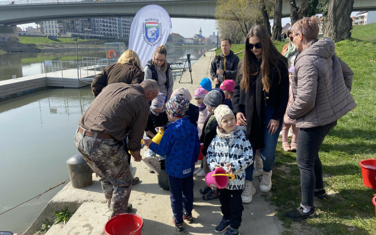 Több ezer márnát telepítettek a gyermekek a Mosoni-Dunába