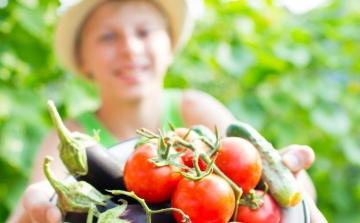 Egyre népszerűbb az iskolakert művelése a diákok körében
