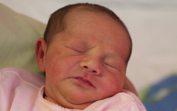 Zója-Katona Liza Alexandra 