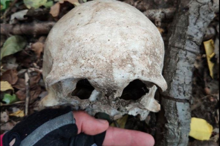 Emberi koponyát talált biciklizés közben a magyar színész