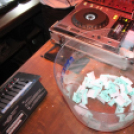 2016.12.31 Mamma Mia Szilveszteri Házibuli Dj:Balage&Solymi Conga Fotók:árpika 