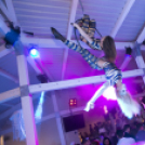 Mundo - Andro 2015.05.30. (szombat)