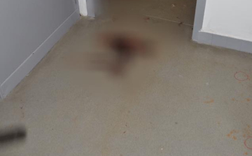 Kegyetlen kettős gyilkosság Pozsonyban