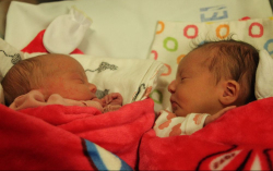 Horváth Dorina és Horváth Mira LIza