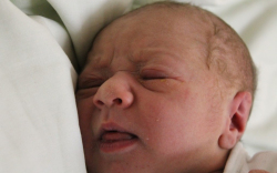 Hibik Gábor Zoltán