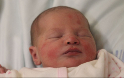 Herczeg Renáta Lídia 