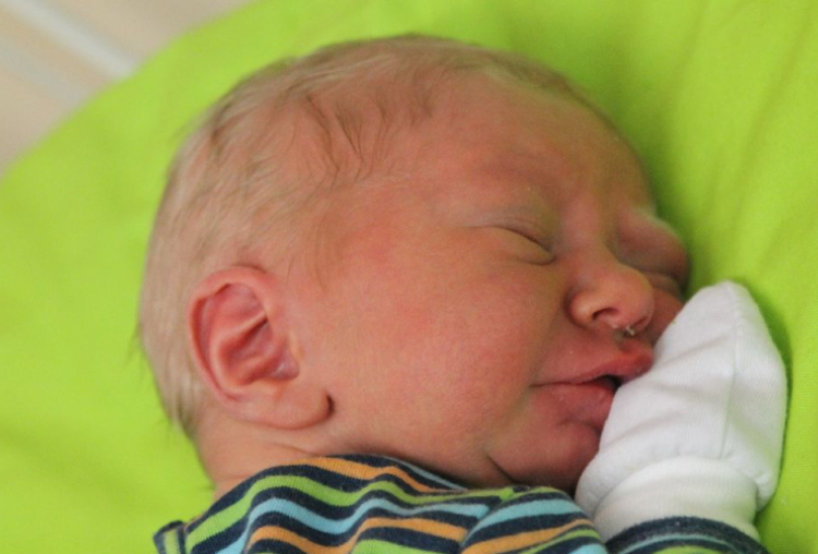 Kiss Dominik Marcell 