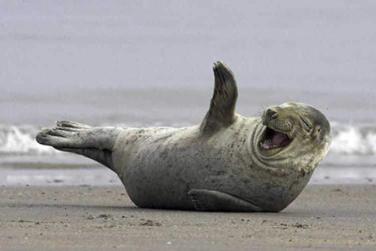 Legjobb filmidézetek 1.