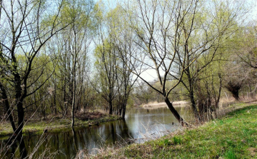 Vízből mentettek ki egy nőt Győr határában