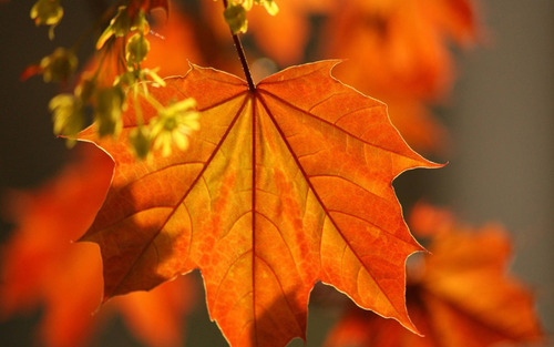 A hétvégén zivatarokra és 25 fokos melegre is lehet számítani