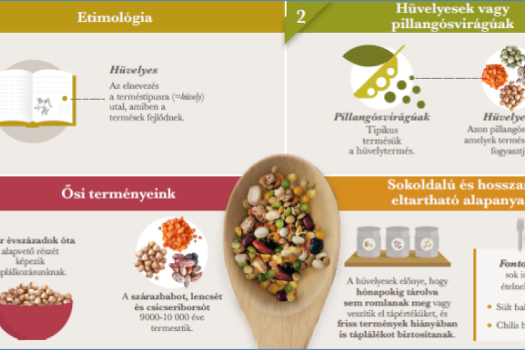 Nemzetközi hódítóúton a borsók és lencsék