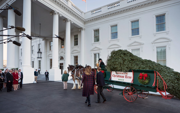 A Fehér Házba megérkezett a karácsonyfa