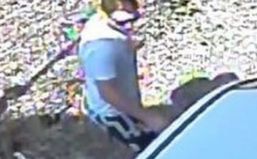 Autót loptak Győrben 