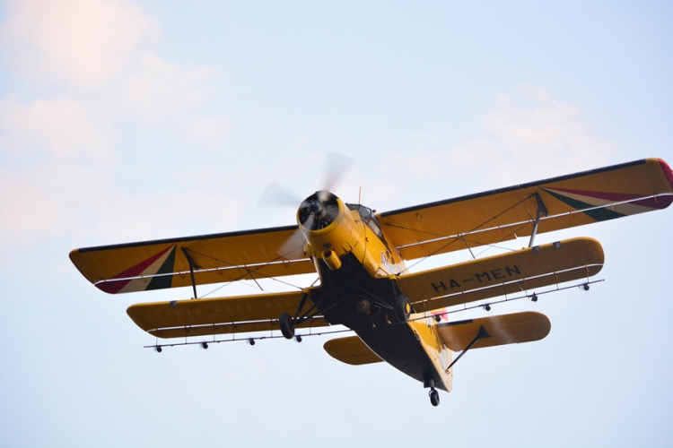 Megkezdődik a szúnyoggyérítés