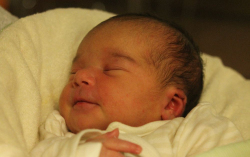 Horváth Kitti Kincső