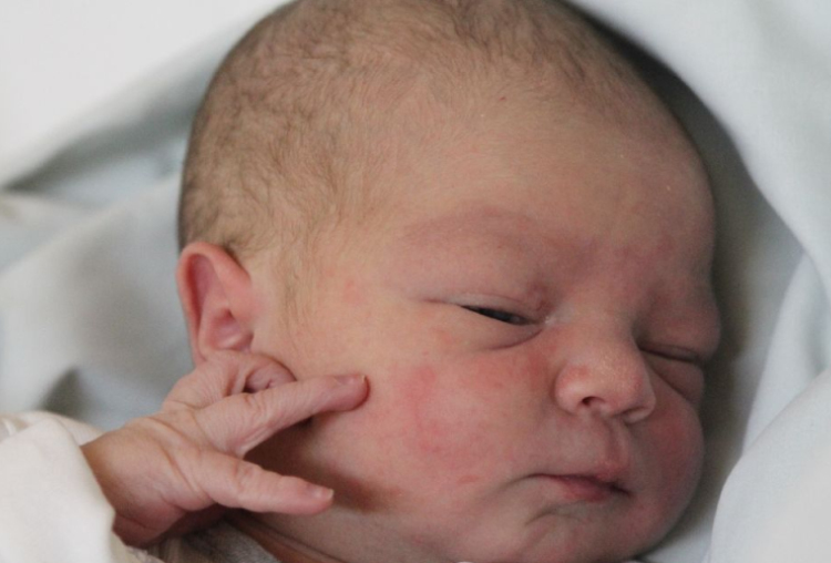 Harcz Miléder Barnabás 