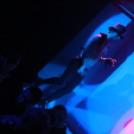 Club Vertigo - Woman's Day 2013.03.09. (szombat) (2) (Fotók:Vertigo)