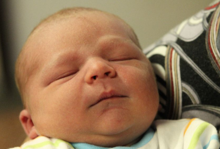 Bubernik-Soltész Bálint