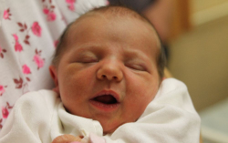 Talpai Szófia Sára 