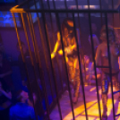 Club Vertigo - Muzzaik 2014.10.04. (szombat)