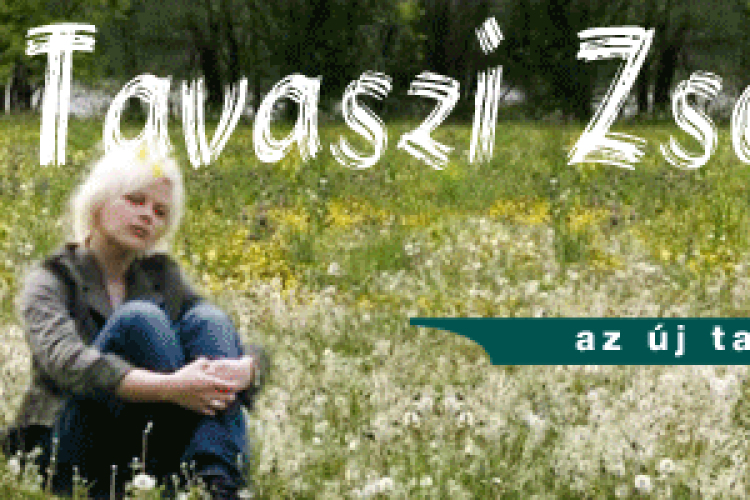 Ismét Komáromban a Mediawave