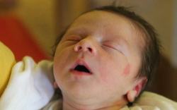 Sáringer Vince Soma 