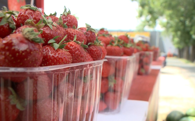 Ezért érdemes a hazai földiepret választani